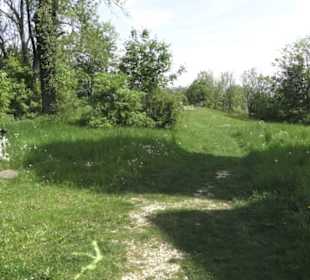 Wallfahrtkirche St. Maria