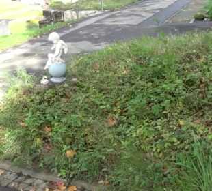 Stadtrundgang Tettnang