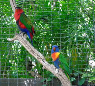Palmitos Park