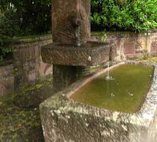 Klosterbrunnen Wittichen