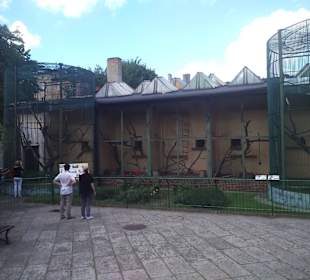 Stare ZOO