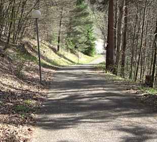 Baumlehrpfad Sontheim