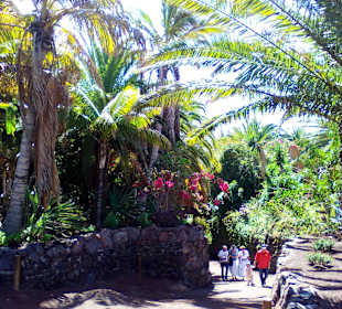 Oasis Park in La Lajita