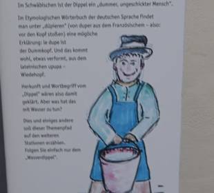 Wasser & Klang Pfad in Auernheim