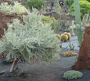 Wie vom Winde verweht