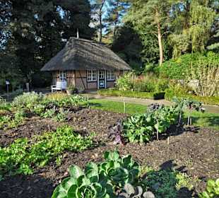 Rundgang durch den Botanischen Garten Hamburg