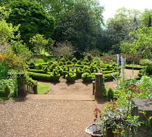 Blandys Gardens/Palheiro Gardens