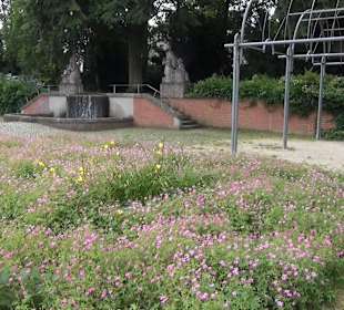 Volkspark