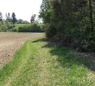Premiumwanderweg Hochgehschätzt