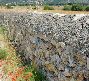 Feldmauer
