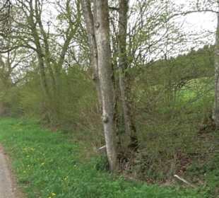 Wanderweg Kunst der kleinen Schritte