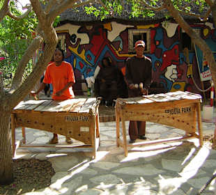 Afrikanische Musiker