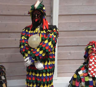 Fastnachtsmuseum Narrenschopf