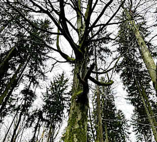 Wandern Friedrichroda