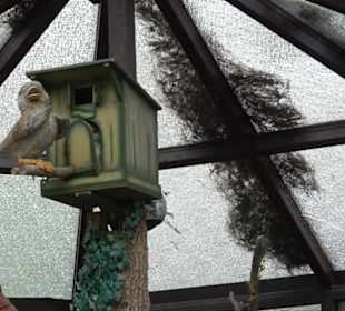 Erlebnispark Tripsdrill