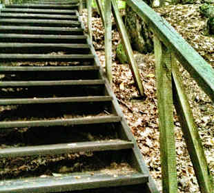 Kampinoski Park Narodowy