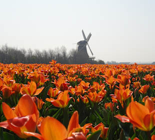 Stadtrundgang Callantsoog