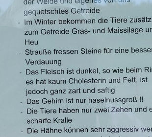 Infoblatt
