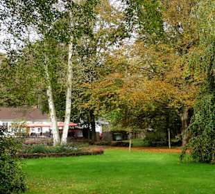 Impressionen aus dem herbstlichen Schlosspark