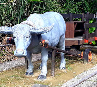 Maokong Gondel - Rund um Maokong Station 