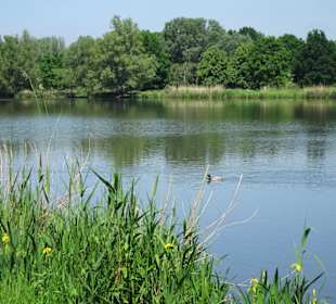 Blick über den Krimpelsee
