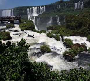 Wasserfälle von Iguazu. Ein Weltwunder