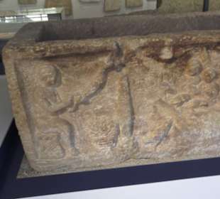 Rheinisches Landesmuseum