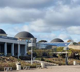 Jahrhunderthalle znd Vier-Kuppel-Pavillon 