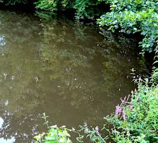 Spaziergang durch das Schönebecker Auetal