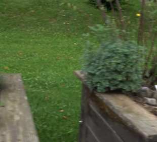 Andechser Kräutergarten