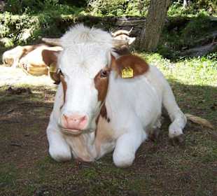 Krimmelské vodopády