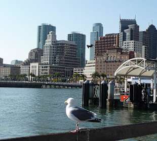 Blick Richtung Downtown