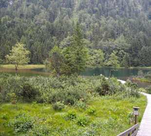 Falkensee