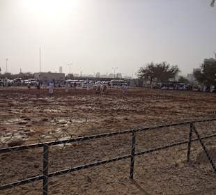 Vereinigte Arabische Emirate