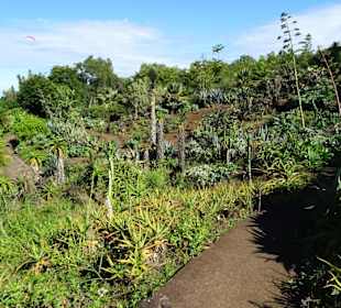 Spaziergang durch den Botanischen Garten Mascarin