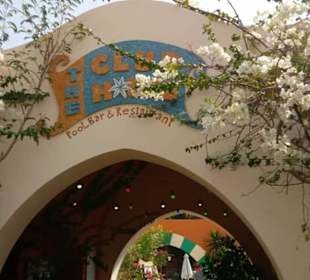 Ausflug El Gouna mit Alex Andra