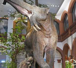 Riesiges Schreckenstier im Rheintal