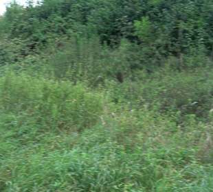 Fort Söflinger Turm