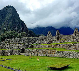 Machu Picchu