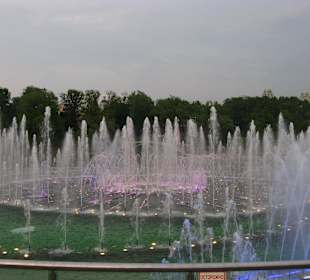 Park Carycyno