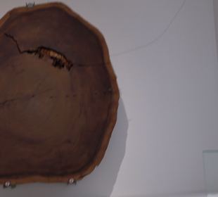 Staatliches Naturkunde Museum