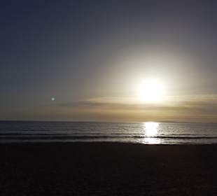 An der Platja de Palma