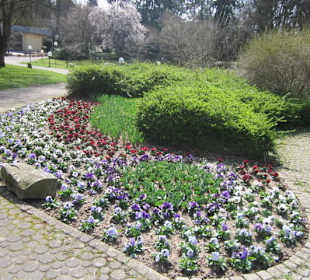 Altstadt Bad Bergzabern Kurpark