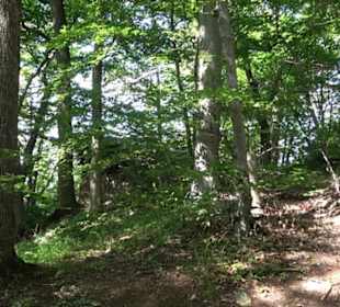 Premiumwanderweg "hochgelegen"