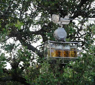 Getränke Express für die Musik