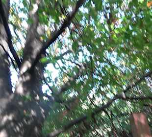 Baumlehrpfad Zollertal