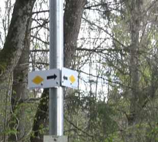 Premiumwanderweg Hochgebürzelt