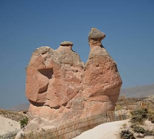 Formacje tufowe - wielbłąd