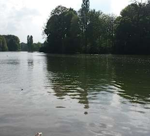Dreckiger See