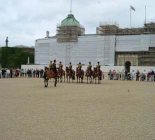 Horse Guard